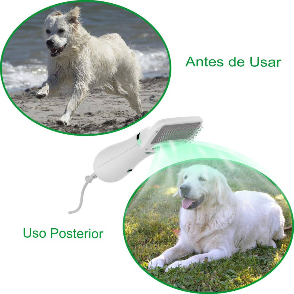 Peine 2 en 1 Desenreda y Seca a Mascotas