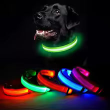 Collar Luminoso LED Recargable