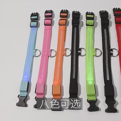 Collar Luminoso LED Recargable